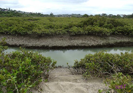 Tohuna Torea Nature Reserve